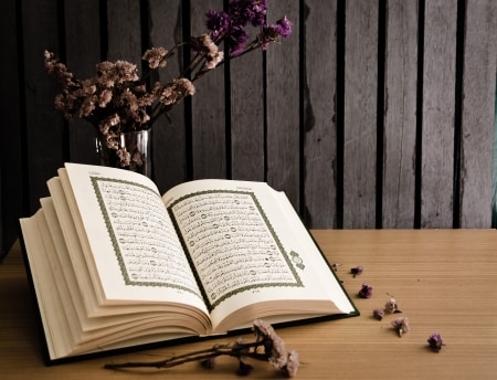 Learn Quran for took a straight passage